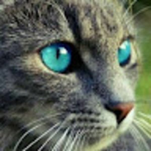 Meet your Posher, Mugisha